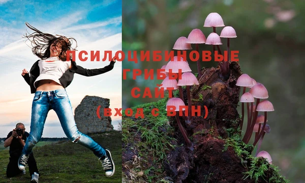 МДПВ Нягань