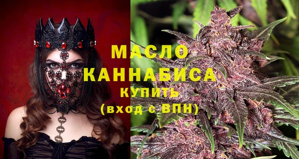 гидра Болотное
