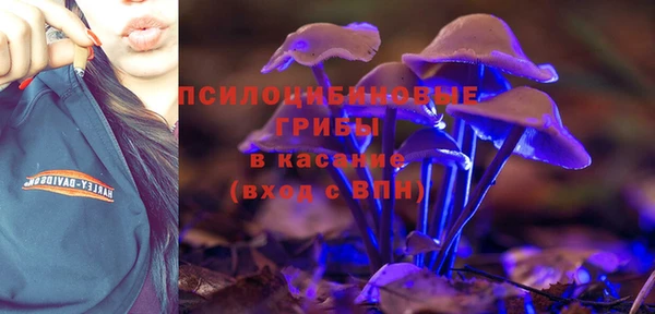 МДПВ Нягань