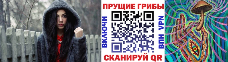 Галлюциногенные грибы Psilocybine cubensis  Старая Русса 