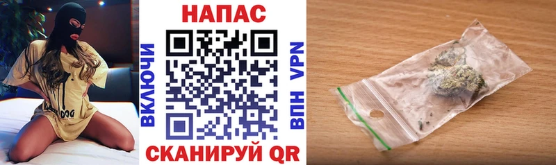 Конопля планчик  Старая Русса 